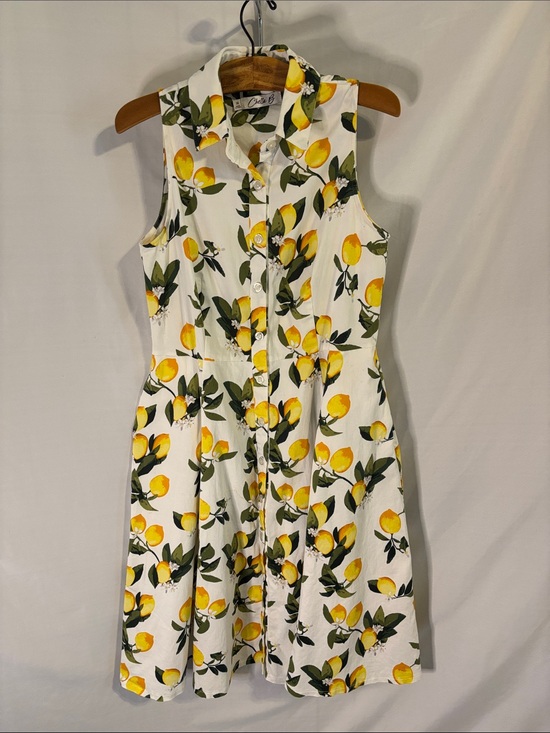 Chetta B Dresses & Skirts - Chetta B Sleeveless Lemon Print Button Down Shirt Dress Size 14 Fit and Flare